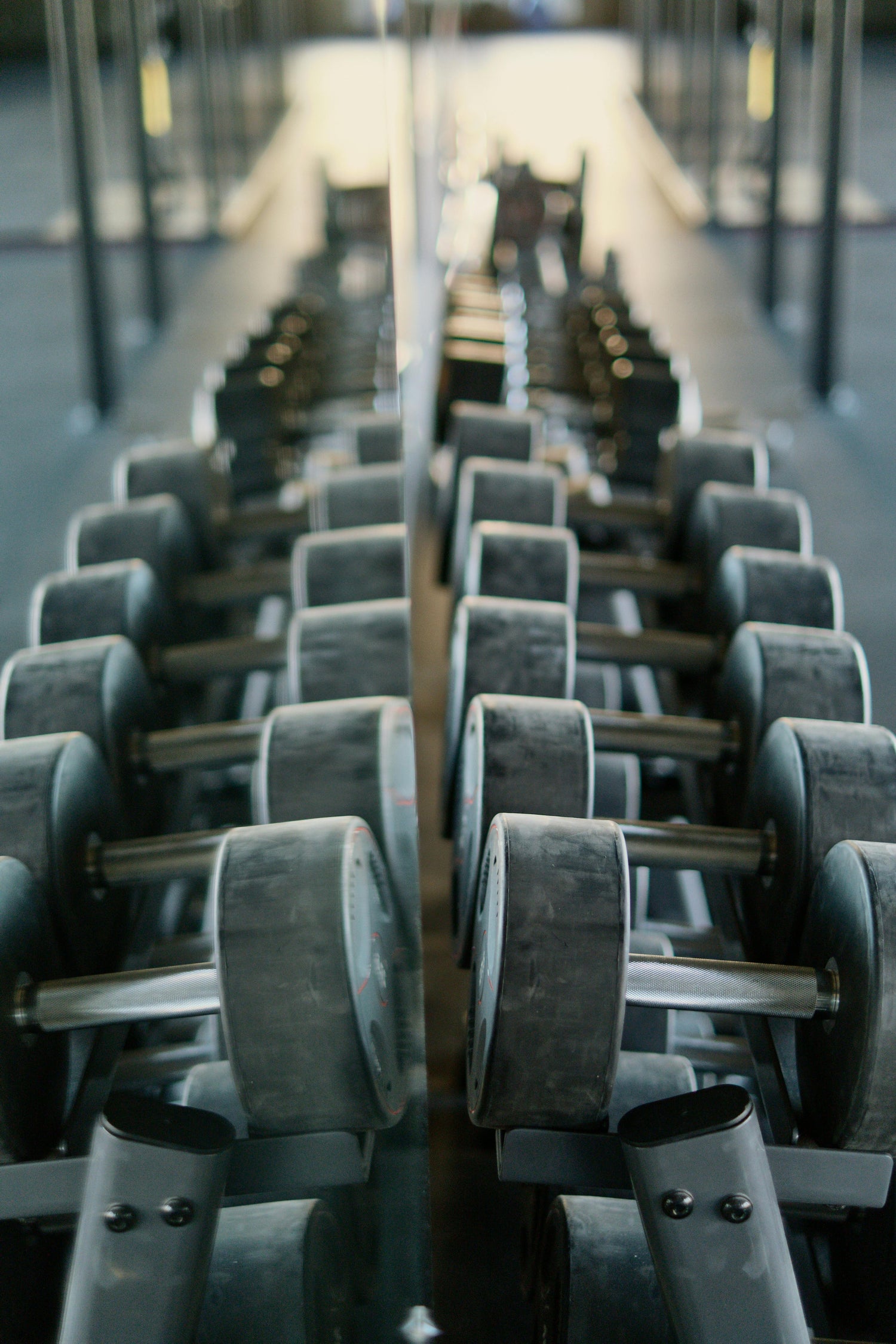 Dumbbell Rack